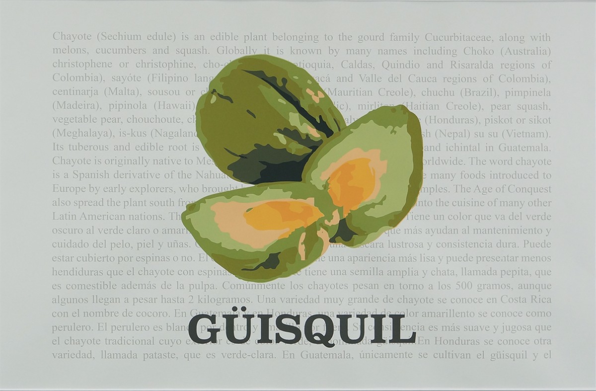 Guisquil